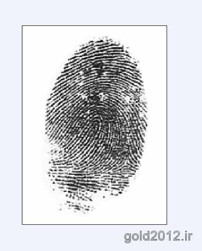 آموزش طراحی مدل طلا با نرم افزار ماتریکس